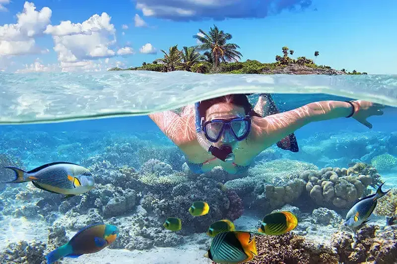 Snorkeling at Mahmya Island